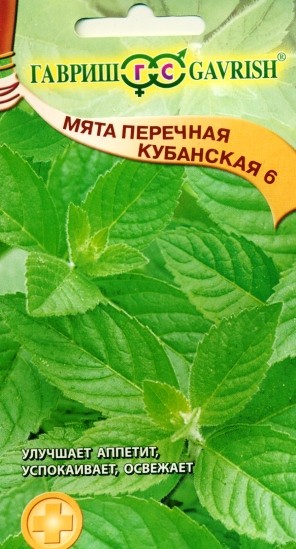 Семена Мята перечная кубанская 6 (Гавриш)