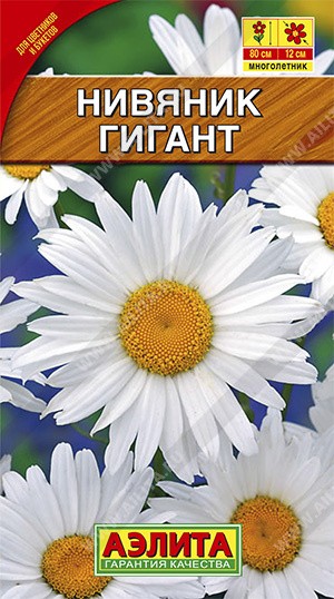 Семена Нивяник Гигант крупноцветковый (Аэлита)