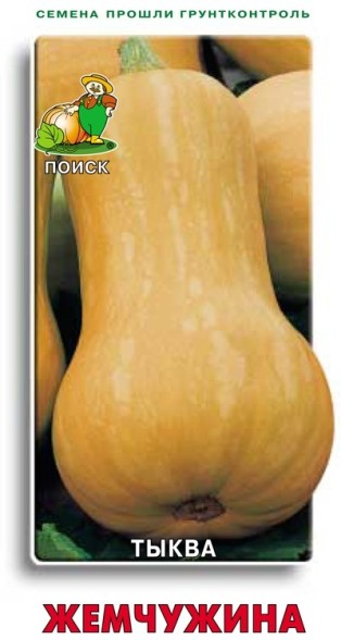 Семена Тыква Жемчужина мускатная (Поиск)