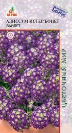 Семена Алиссум Истер Бонет Вайлет (Агрос)