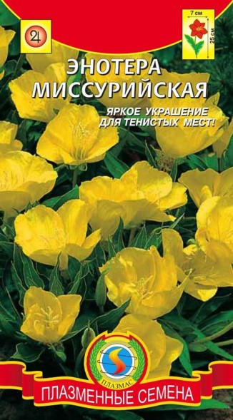 Семена Энотера Миссурийская  ПЛ