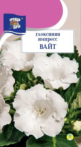 Семена Глоксиния Импресс Вайт УУД