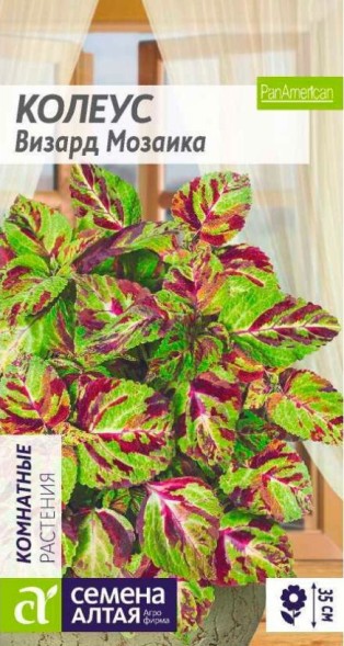 Семена Колеус Визард Мозаика (Семена Алтая)