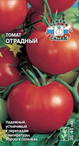 Семена Томат Отрадный (СеДеК)