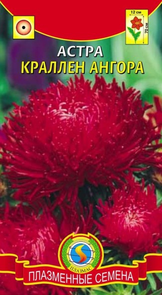Семена Астра Краллен Ангора ПЛ