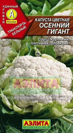 Семена Капуста цветная Осенний Гигант (Аэлита)
