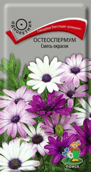 Семена Остеоспермум Смесь окрасок (Поиск)