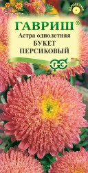 Астра Букет Персиковый (Гавриш)