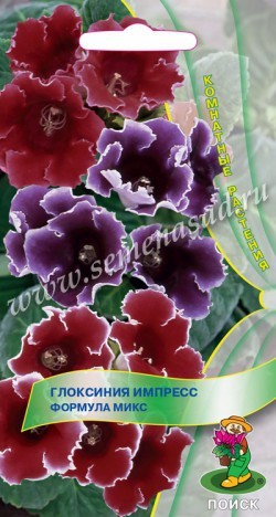 Семена Глоксиния Импресс Формула микс (Поиск)