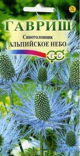 Семена Синеголовник Альпийское небо 0,05г Гавриш