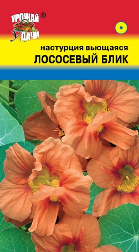 Семена Настурция вьющаяся Лососевый блик УУД