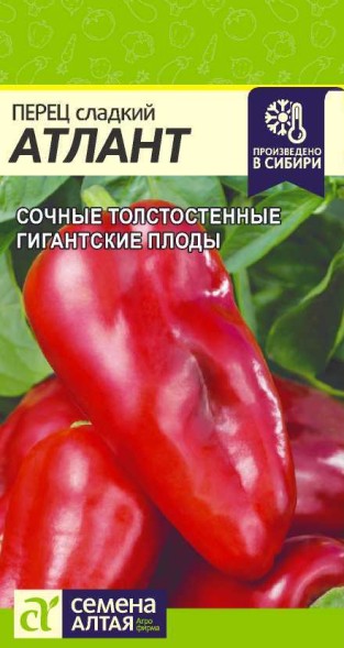 Семена Перец Атлант (Семена Алтая)