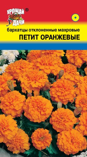 Семена Бархатцы отклоненные Петит Оранжевые УУД