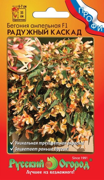 Семена Бегония Радужный каскад F1 ампельная (НК)