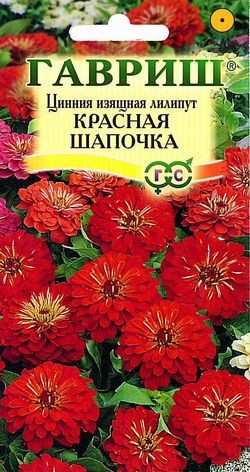 Семена Цинния Красная шапочка лилипут (Гавриш)