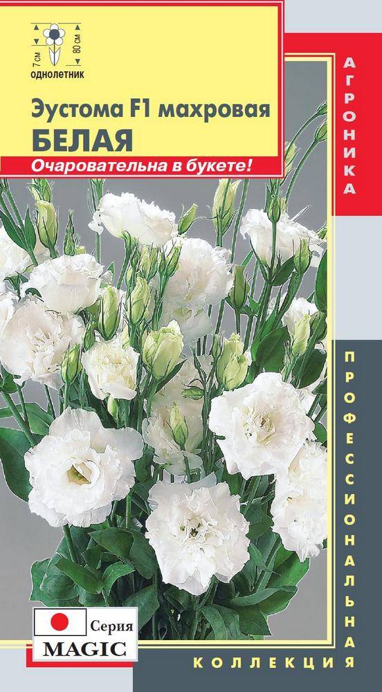 Семена Халапеньо Эустома Купить