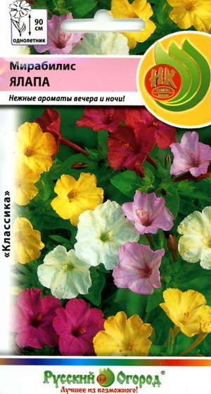 Нк Семена Магазин