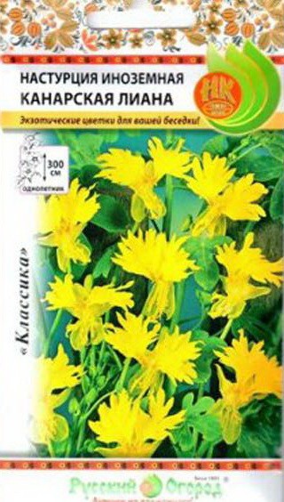 Семена Настурция иноземная Канарская лиана (НК)