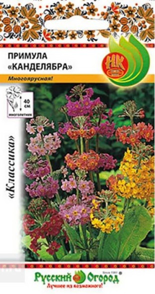 Семена Примула Канделябра (НК)