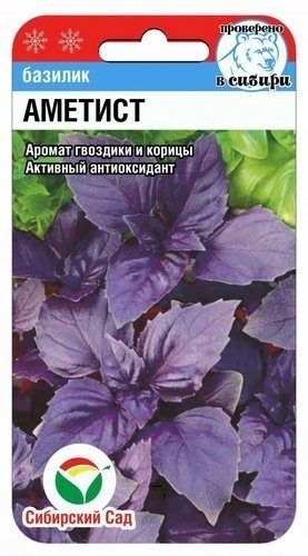 Семена Базилик Аметист (Сиб Сад)