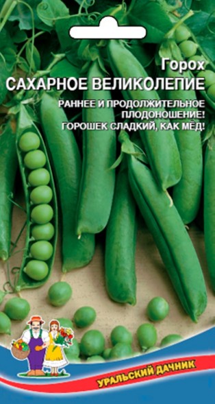 Семена Горох Сахарное великолепие УД