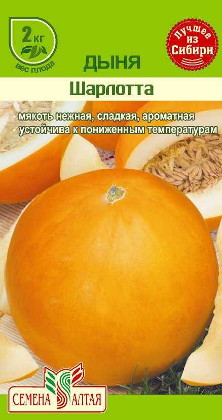 Дыня Птичье Молоко Семена Алтая Купить