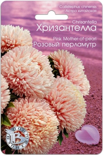 Семена Астра Хризантелла Розовый перламутр (Биотехника)