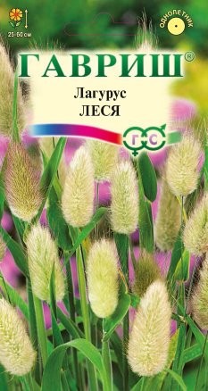 Семена Зайцехвост (Лагурус) сухоцвет Леся яйцевидный (Гавриш)