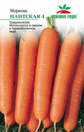 Морковь Нантская 4 (УГ)