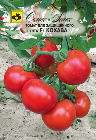 Семена Томат Кохава F1 (Семко)