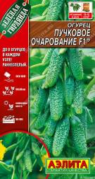 Огурец Пучковое очарование (Аэлита)