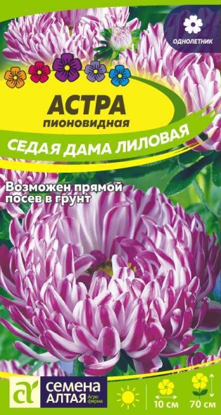 Семена Астра Седая Дама Лиловая пионовидная (Семена Алтая)