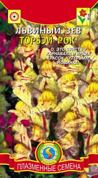 Семена Львиный зев Торбей рок ПЛ