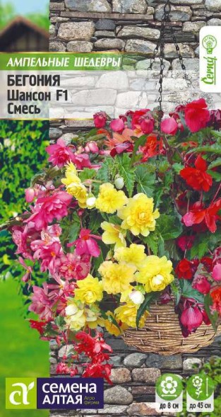 Семена Бегония Шансон ампельная клубневая смесь (Семена Алтая)