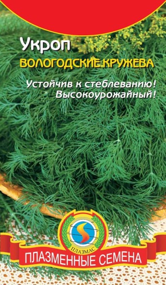 Семена Укроп Вологодские Кружева ПЛ