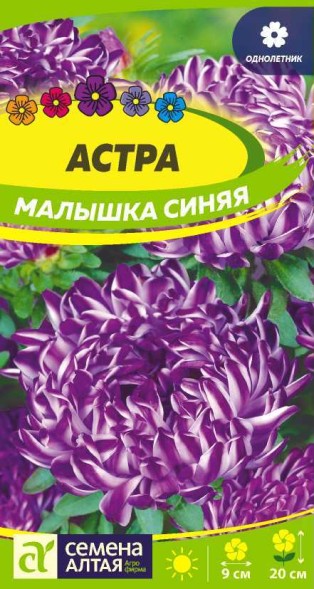 Семена Астра Малышка синяя (Семена Алтая)