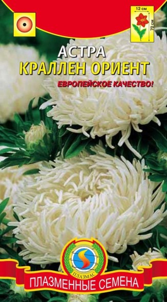 Семена Астра Краллен ориент ПЛ