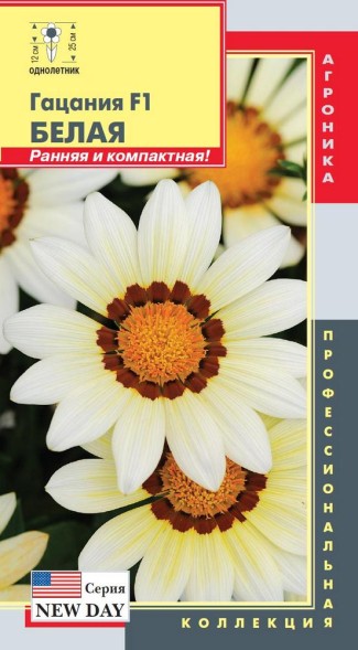 Семена Гацания F1 (серия New Day) Белая ПЛ