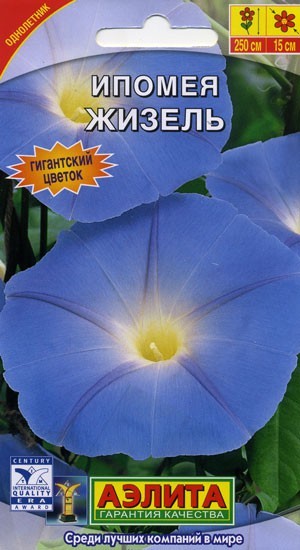 Семена Ипомея Жизель (Аэлита)