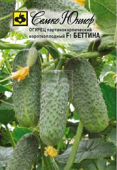 Семена Огурец Беттина F1 (Семко)