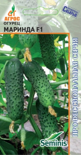 Семена Огурец Маринда F1 (Агрос)