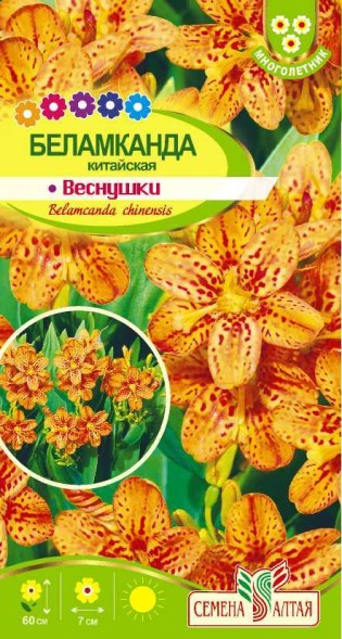 Семена Беламканда Веснушки китайская (Семена Алтая)