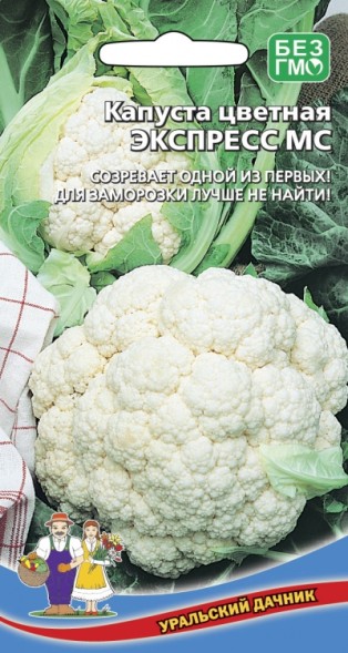 Семена Капуста цветная Экспресс МС УД