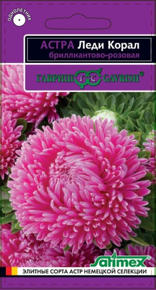 Семена Астра Леди Корал Бриллиантово-розовая розовидная (Гавриш)