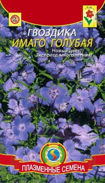 Семена Гвоздика Имаго голубая ПЛ
