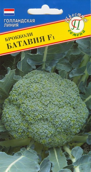 Семена Капуста брокколи Батавия F1 (Престиж)