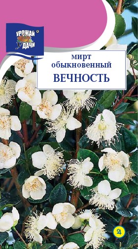 Семена Мирт ВЕЧНОСТЬ УУД