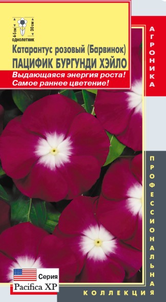 Семена Катарантус розовый (Барвинок) Пацифик Бургунди Хэйло ПЛ