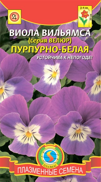 Семена Виола вильямса (серия Велюр) Пурпурно-белая ПЛ