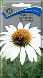 Рудбекия Белая Лебедь пурпурная (Поиск)